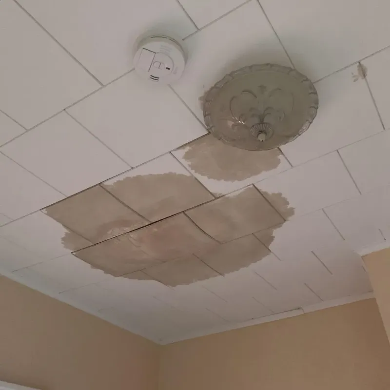 Ceiling Water Damage Repair in Shawnee, OK