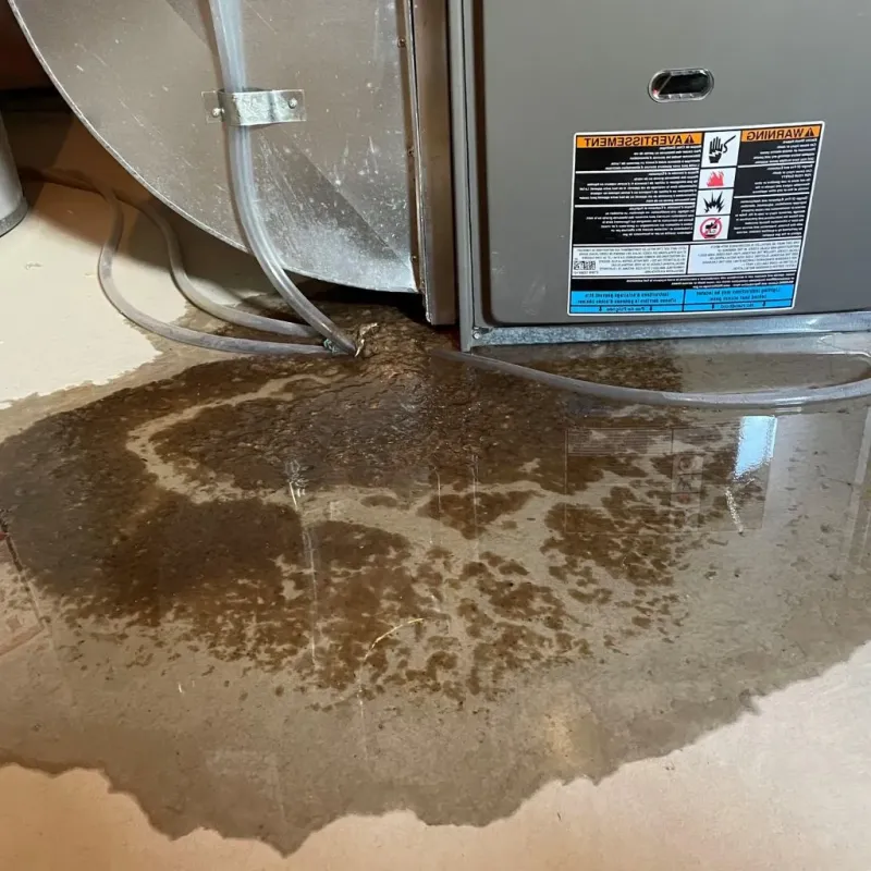 Pipe Burst and Leak Restoration in Shawnee, OK